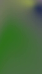 Poster - Blurred colorful abstract background with vibrant purple green and yellow tones