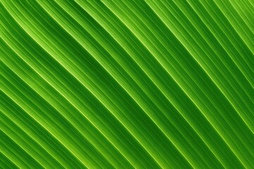 Poster - Close-up of a tiny green leaf streak showcasing natural design from above