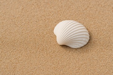 Poster - Elegant white seashell resting on sandy shore