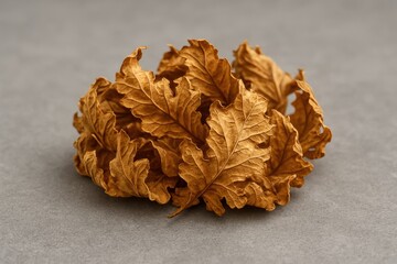 Poster - Close-up of dried leaves scattered on a concrete surface with selective focus
