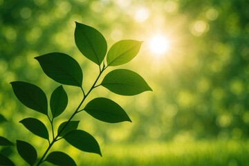 Poster - Silhouette of a lush garden with vibrant green foliage during summer, sunlight filtering through leaves, lens flare effect, focused on tropical plants in a natural setting