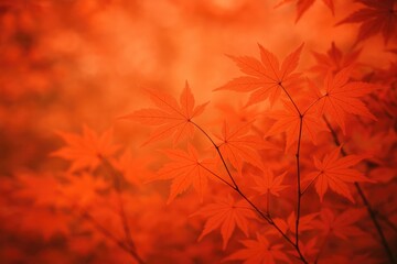 Poster - Detailed view of vibrant red maple leaves in autumn background