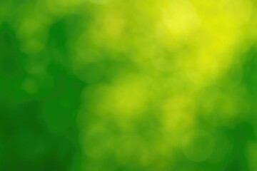 Poster - Backdrop featuring vibrant green and yellow hues