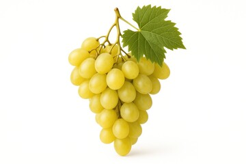 Poster - Individual grapes displayed on a plain white backdrop