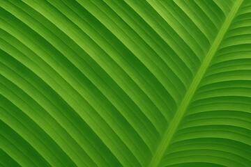 Poster - Leaf-patterned background for design projects