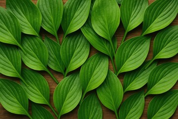 Aufkleber - Lush green foliage creating a stunning visual appeal