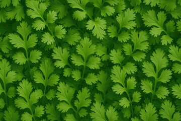 Poster - Vibrant fresh coriander leaves showcasing natural green color
