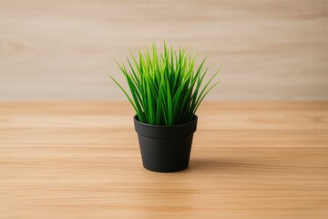 Poster - Lush grass growing in a container placed on a surface