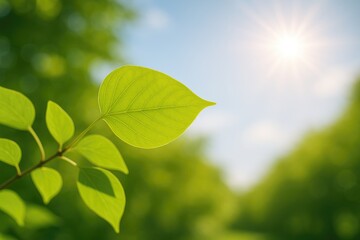 Poster - Sunlit greenery featuring a vibrant leaf in a natural setting