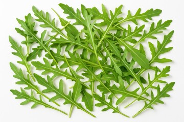 Poster - Vibrant and fresh arugula leaves for healthy eating