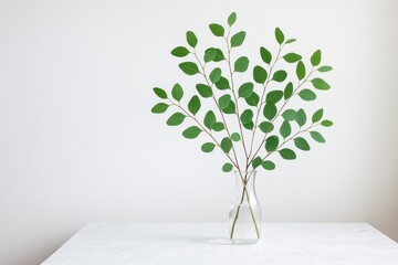 Poster - Indoor scene featuring green eucalyptus stems in a vase on a marble surface against a white wall