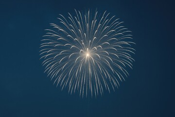 Poster - Sky illuminated by fireworks