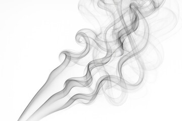 Poster - Black and White Smoke Art on a Plain White Canvas