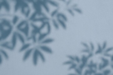 Wall Mural - abstract leaf shadow cast on wall with a blue hue