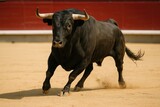 Furious large bull charging through the arena