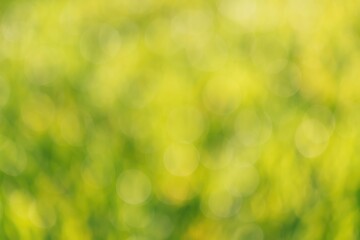 Aufkleber - Vibrant blurred foliage with glowing highlights forming a stunning bokeh scene, perfect for a natural backdrop