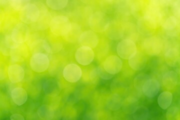 Wall Mural - abstract green bokeh with a nature-inspired background