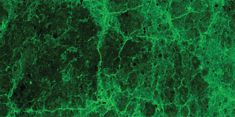 Aufkleber - Abstract green cracked texture with subtle dark tones suitable for backgrounds digital art designs and creative projects offering visual depth