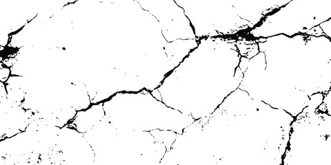 Poster - Black and white cracks illustration isolated on white background. A black and white vintage of cracked concrete scribble effect, old wall background crack vector, grunge texture,
