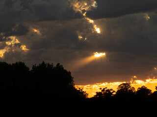 Wall Mural - single sunbeem through the clouds at sundown with forest