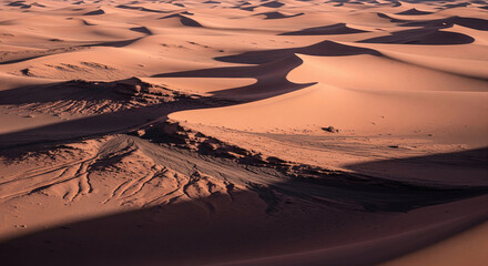 Poster - Aerial view of sand dunes, showing texture and shadows, creating a scenic desert landscape, representative of arid beauty and natural formations