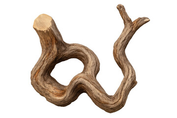 Poster - Gnarled and weathered tree branch forming a loop, isolated on a transparent background, perfect for nature-themed designs