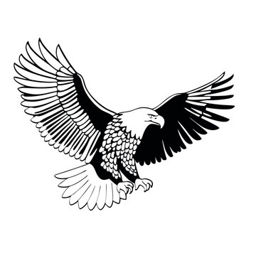 eagle outline vector icon on white back round