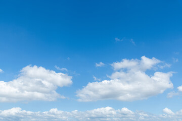 Wall Mural - clear blue sky with some white clouds