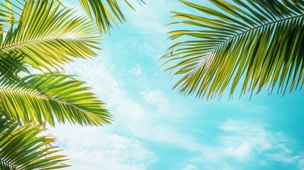 Wall Mural - lush green palm leaves frame a vibrant blue sky, creating a serene tropical atmosphere perfect for s