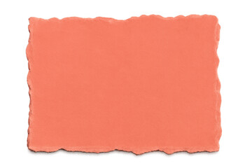 Poster - Ragged-edged coral paper torn horizontally, creating textured frame overlay with transparent background for artistic design element
