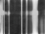 Old film texture with scratches, noise and glitch shapes. Realistic overlay film texture in black-white, dust and grain.
