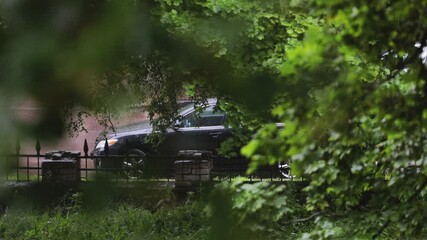Poster - A black pickup truck parked among trees in a wooded area Rainy weather