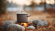 © sabyna75 - Camping pot on campfire with stones in nature setting