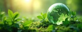 Eco concept of sustainable growth, green planet earth globe with foliage. Nature eco-friendly, environment protection, earth day concept. 3D rendering of green world.