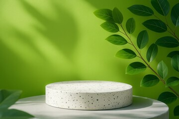 Poster - Minimalistic green background with shadows of leaves and branches framing an empty round terrazzo podium, creating a natural and serene setting for showcasing cosmetic products or other items