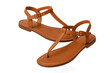 © whitestorm - Stylish brown leather flat sandals isolated on a transparent background.