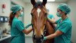 © Maryna - Brown horse receives medical attention from veterinarians in clinic. Equine health care. Doctors, patient exam. Surgical operation, recovery. Medicine, veterinary services, equine clinic, stable.