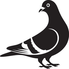 Wall Mural - A black and white graphic illustration of a pigeon standing on a white background in side profile