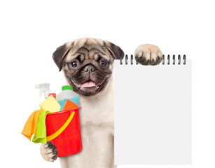 Poster - Cleaning concept. Smiling Pug puppy holds bucket with  washing fluids and rags in it paws and shows blank notepad. isolated on white background