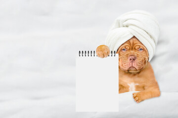 Aufkleber - Funny Mastiff puppy with towel on it head relaxing on the bed at home and showing blank notepad. Top down view. Empty space for text