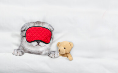 Poster - Cozy tiny kitten wearing sleeping mask sleeps  under blanket on a bed at home with favorite toy bear. Top down view. Empty space for text