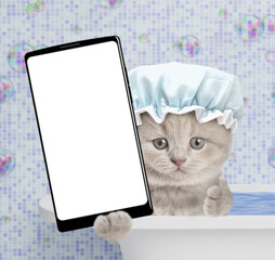 Poster - Cute kitten wearing shower cap takes the bath at home and shows big smartphone with white blank screen in it paw. Empty space for text
