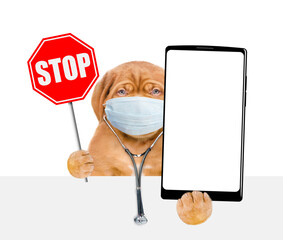 Poster - Mastiff puppy wearing like a doctor with protective mask, with stethoscope on his neck showing big smartphone with white blank screen in it paw above blank white banner. isolated on white background