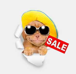 Aufkleber - Smiling Mastif puppy wearing sunglasses and summer hat looking through the hole in white paper and showing signboard with labeled 