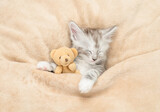 Cozy Maine coon kitten sleeping with favorite toy bear under warm plaid on a bed at home. Top down view Cozy Maine coon kitten sleeping with favorite toy bear under warm plaid on a bed at home. Top down view