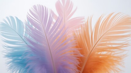 Poster - Delicate pastel feathers soft texture macro