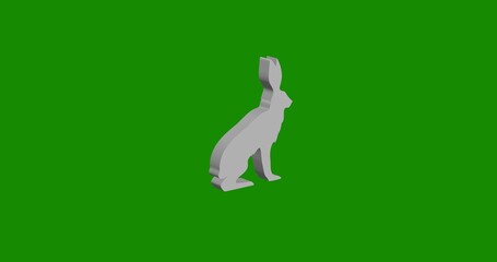 Poster - Isolated realistic white hare symbol front view with shadow. 3d illustration on green chroma key background