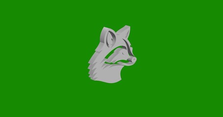 Poster - Isolated realistic white raccoon head symbol front view with shadow. 3d illustration on green chroma key background