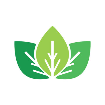 Nature leaf eco green logo icon