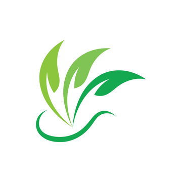 Nature leaf eco green logo icon